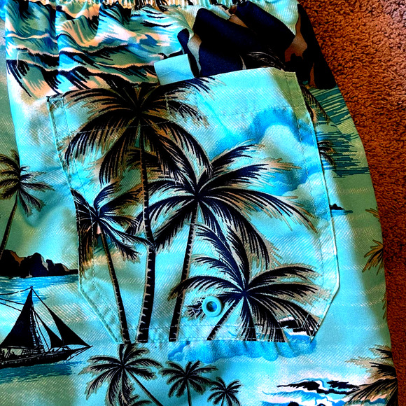 Jake Austin Swim Trunks - M - Picture 3 of 4